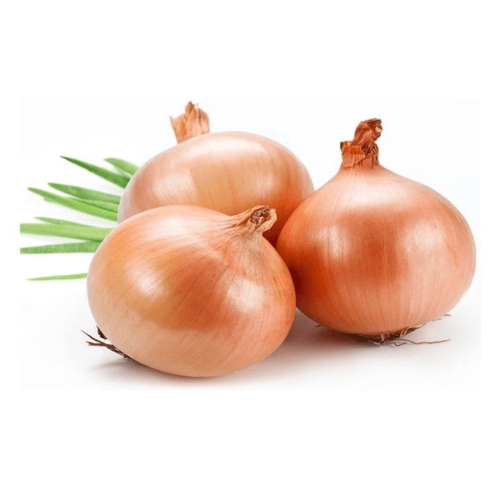 Cebola Caore 500g Orgânica Aprox. 4 Unid.